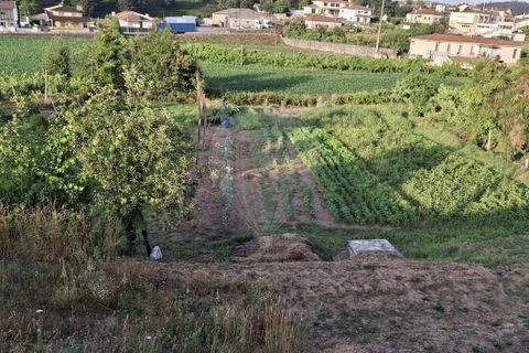 Helårsgrund i Braga, Braga, Braga - € 81.900 | Ref: 123331208-11 - foto 6