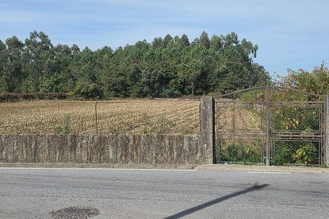 Helårsgrund i Barcelos, Braga, Barcelos - € 15.000 | Ref: 123331056-1131 - foto 1