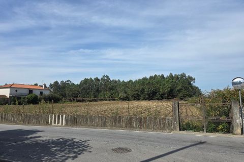 Helårsgrund i Barcelos, Braga, Barcelos - € 15.000 | Ref: 123331056-1131 - foto 2