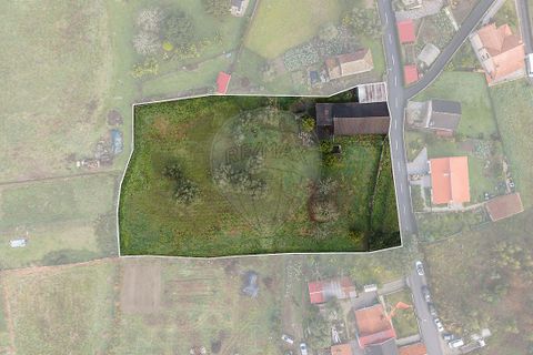 Villa i Ponte de Lima, Viana do Castelo, Ponte de Lima - € 190.000 | Ref: 123731039-19 - foto 2
