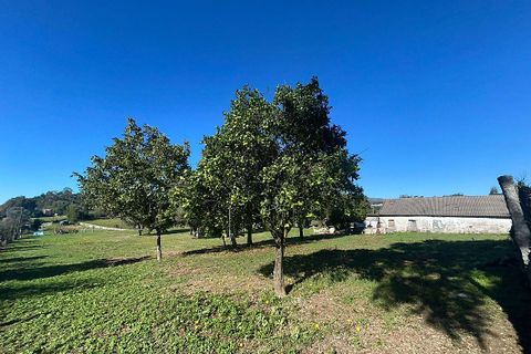Villa i Ponte de Lima, Viana do Castelo, Ponte de Lima - € 190.000 | Ref: 123731039-19 - foto 4