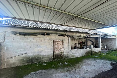 Villa i Ponte de Lima, Viana do Castelo, Ponte de Lima - € 190.000 | Ref: 123731039-19 - foto 5