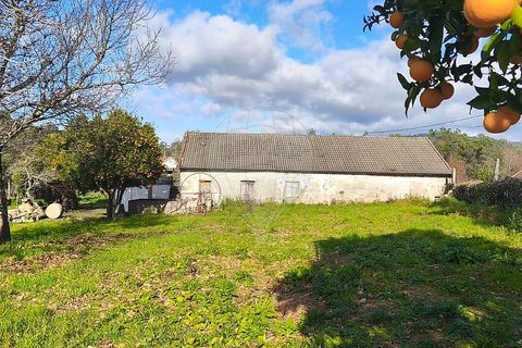 Villa i Ponte de Lima, Viana do Castelo, Ponte de Lima - € 190.000 | Ref: 123731039-19 - foto 8
