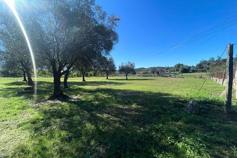 Villa i Ponte de Lima, Viana do Castelo, Ponte de Lima - € 190.000 | Ref: 123731039-19 - foto 10