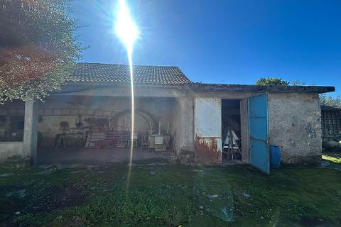 Villa i Ponte de Lima, Viana do Castelo, Ponte de Lima - € 190.000 | Ref: 123731039-19 - foto 12