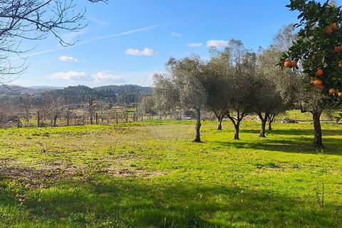 Villa i Ponte de Lima, Viana do Castelo, Ponte de Lima - € 190.000 | Ref: 123731039-19 - foto 13