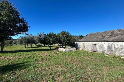 Villa i Ponte de Lima, Viana do Castelo, Ponte de Lima - € 190.000 | Ref: 123731039-19 - foto 15