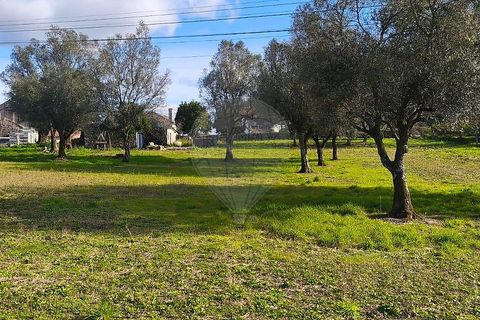 Villa i Ponte de Lima, Viana do Castelo, Ponte de Lima - € 190.000 | Ref: 123731039-19 - foto 16