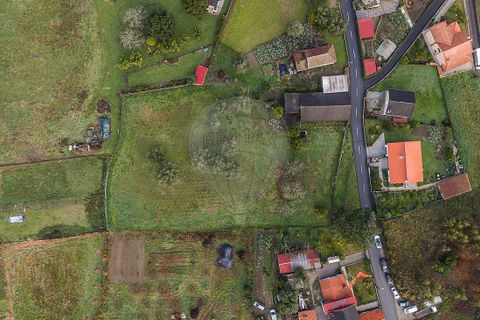 Villa i Ponte de Lima, Viana do Castelo, Ponte de Lima - € 190.000 | Ref: 123731039-19 - foto 17