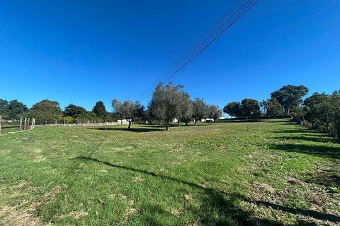 Villa i Ponte de Lima, Viana do Castelo, Ponte de Lima - € 190.000 | Ref: 123731039-19 - foto 18