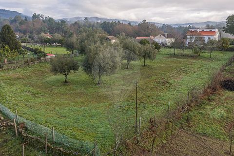 Villa i Ponte de Lima, Viana do Castelo, Ponte de Lima - € 190.000 | Ref: 123731039-19 - foto 22