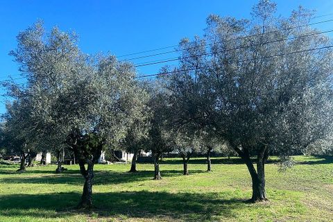 Villa i Ponte de Lima, Viana do Castelo, Ponte de Lima - € 190.000 | Ref: 123731039-19 - foto 23