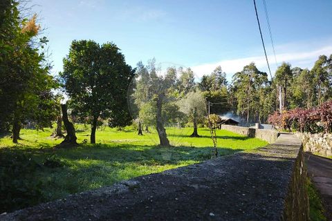 Villa i Ponte de Lima, Viana do Castelo, Ponte de Lima - € 59.000 | Ref: 123731006-164 - foto 4