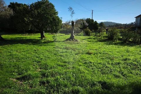 Villa i Ponte de Lima, Viana do Castelo, Ponte de Lima - € 59.000 | Ref: 123731006-164 - foto 5