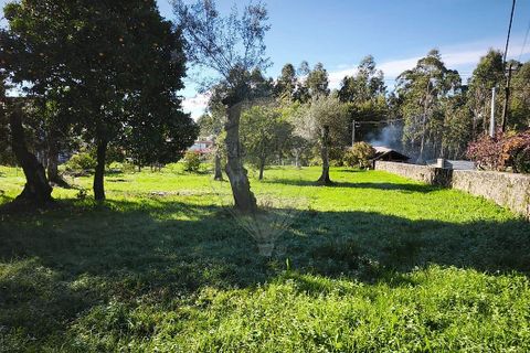 Villa i Ponte de Lima, Viana do Castelo, Ponte de Lima - € 59.000 | Ref: 123731006-164 - foto 7