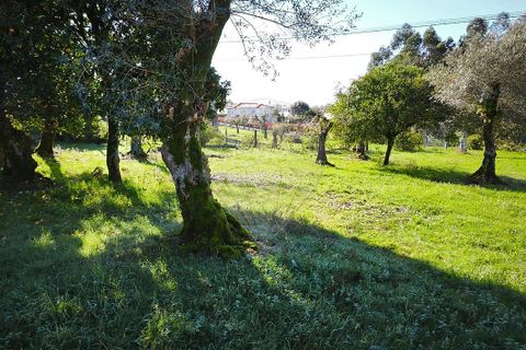 Villa i Ponte de Lima, Viana do Castelo, Ponte de Lima - € 59.000 | Ref: 123731006-164 - foto 8