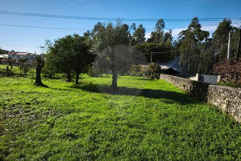 Villa i Ponte de Lima, Viana do Castelo, Ponte de Lima - € 59.000 | Ref: 123731006-164 - foto 9