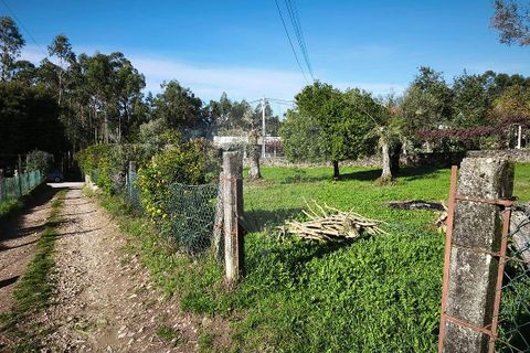 Villa i Ponte de Lima, Viana do Castelo, Ponte de Lima - € 59.000 | Ref: 123731006-164 - foto 13