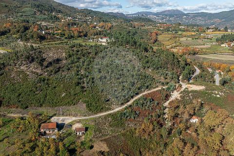 Villa a Celorico de Basto, Braga, Celorico de Basto - € 30.000 | Ref: 126221008-436 - foto 2