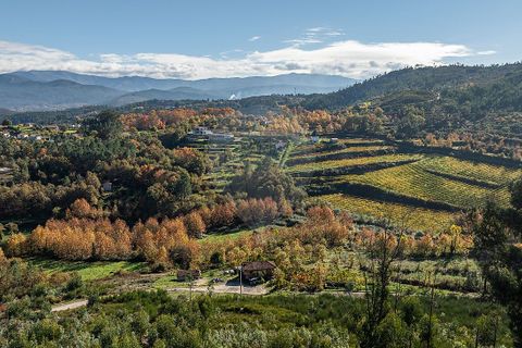 Villa a Celorico de Basto, Braga, Celorico de Basto - € 30.000 | Ref: 126221008-436 - foto 6