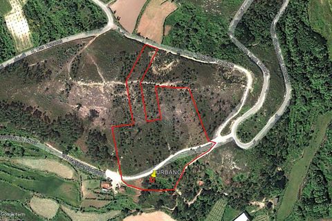 Villa a Celorico de Basto, Braga, Celorico de Basto - € 30.000 | Ref: 126221008-436 - foto 7