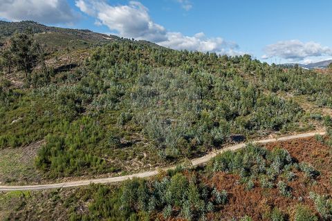 Villa a Celorico de Basto, Braga, Celorico de Basto - € 30.000 | Ref: 126221008-436 - foto 8