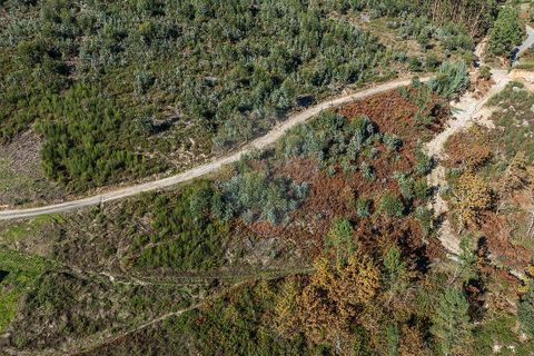 Villa a Celorico de Basto, Braga, Celorico de Basto - € 30.000 | Ref: 126221008-436 - foto 10
