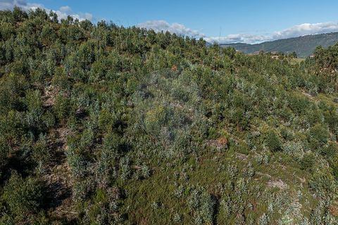 Villa a Celorico de Basto, Braga, Celorico de Basto - € 30.000 | Ref: 126221008-436 - foto 12
