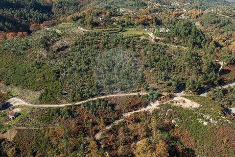Villa a Celorico de Basto, Braga, Celorico de Basto - € 30.000 | Ref: 126221008-436 - foto 14