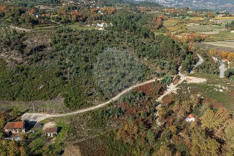 Villa a Celorico de Basto, Braga, Celorico de Basto - € 30.000 | Ref: 126221008-436 - foto 15