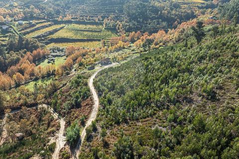 Villa a Celorico de Basto, Braga, Celorico de Basto - € 30.000 | Ref: 126221008-436 - foto 16