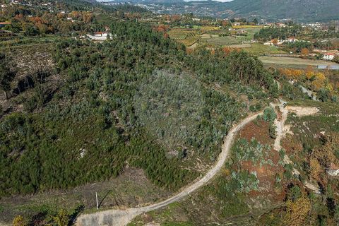Villa a Celorico de Basto, Braga, Celorico de Basto - € 30.000 | Ref: 126221008-436 - foto 17