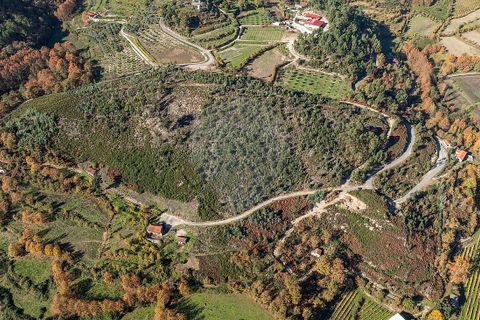 Villa a Celorico de Basto, Braga, Celorico de Basto - € 30.000 | Ref: 126221008-436 - foto 18