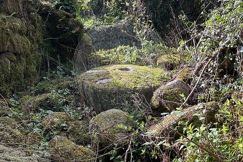 Villa i Arcos de Valdevez, Viana do Castelo, Arcos de Valdevez - € 12.000 | Ref: 123331167-582 - foto 4