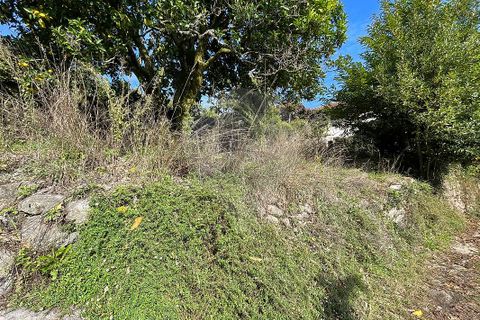 Villa i Arcos de Valdevez, Viana do Castelo, Arcos de Valdevez - € 12.000 | Ref: 123331167-582 - foto 6