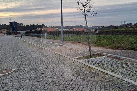 Helårsgrund i Vila do Conde, Porto, Vila do Conde - € 500.000 | Ref: 123331212-84 - foto 16