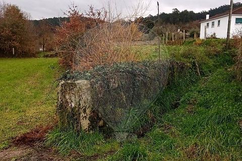 Helårsgrund i Valenca, Viana do Castelo, Valenca - € 40.000 | Ref: 123331212-85 - foto 16