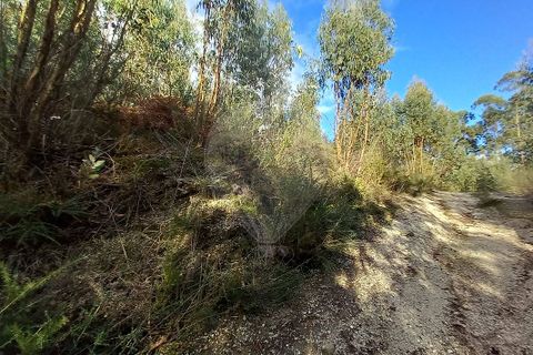 Helårsgrund i Guimaraes, Braga, Guimaraes - € 115.000 | Ref: 121751088-514 - foto 5