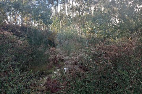 Helårsgrund i Guimaraes, Braga, Guimaraes - € 115.000 | Ref: 121751088-514 - foto 7