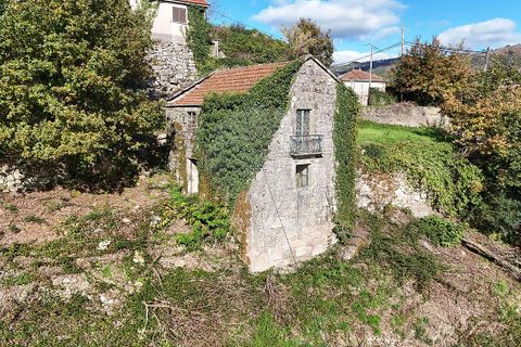 Villa i Cabeceiras de Basto, Braga, Cabeceiras de Basto - € 64.900 | Ref: 126311008-123 - foto 5