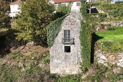 Villa i Cabeceiras de Basto, Braga, Cabeceiras de Basto - € 64.900 | Ref: 126311008-123 - foto 7