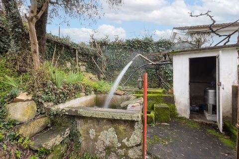 Villa i Valenca, Viana do Castelo, Valenca - € 190.000 | Ref: 123331184-7 - foto 9