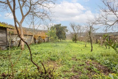 Villa i Valenca, Viana do Castelo, Valenca - € 190.000 | Ref: 123331184-7 - foto 11