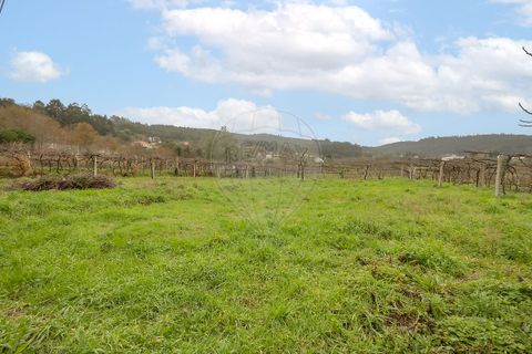 Villa i Valenca, Viana do Castelo, Valenca - € 190.000 | Ref: 123331184-7 - foto 13
