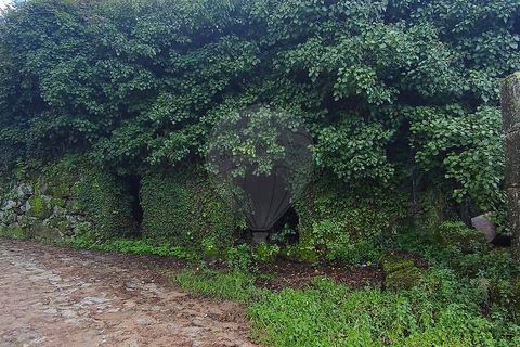 Villa a Ponte da Barca, Viana do Castelo, Ponte da Barca - € 70.000 | Ref: 123331167-594 - foto 5