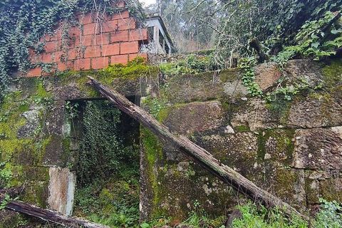 Villa a Ponte da Barca, Viana do Castelo, Ponte da Barca - € 70.000 | Ref: 123331167-594 - foto 10