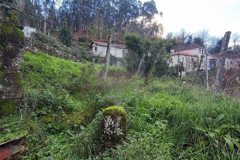 Villa a Ponte da Barca, Viana do Castelo, Ponte da Barca - € 130.000 | Ref: 123331167-595 - foto 5