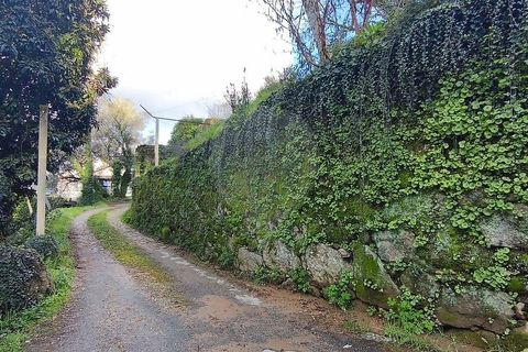 Villa a Ponte da Barca, Viana do Castelo, Ponte da Barca - € 130.000 | Ref: 123331167-595 - foto 13