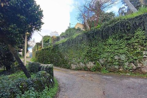 Villa a Ponte da Barca, Viana do Castelo, Ponte da Barca - € 130.000 | Ref: 123331167-595 - foto 15