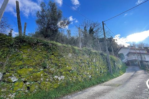Villa a Ponte da Barca, Viana do Castelo, Ponte da Barca - € 130.000 | Ref: 123331167-595 - foto 21